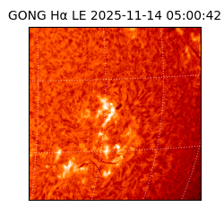 gong - 2025-11-14T05:00:42