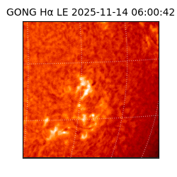 gong - 2025-11-14T06:00:42