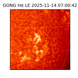 gong - 2025-11-14T07:00:42