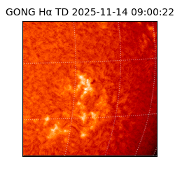gong - 2025-11-14T09:00:22