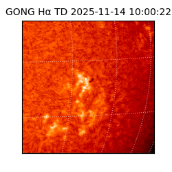 gong - 2025-11-14T10:00:22