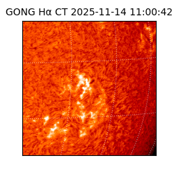 gong - 2025-11-14T11:00:42