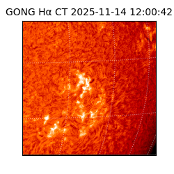 gong - 2025-11-14T12:00:42