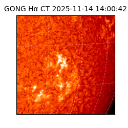 gong - 2025-11-14T14:00:42