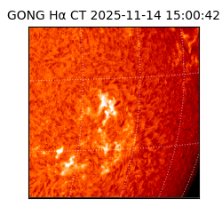 gong - 2025-11-14T15:00:42
