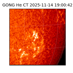 gong - 2025-11-14T19:00:42