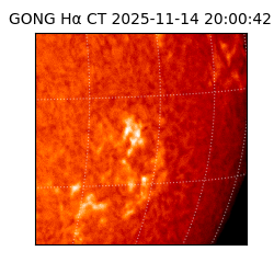 gong - 2025-11-14T20:00:42