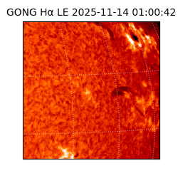 gong - 2025-11-14T01:00:42