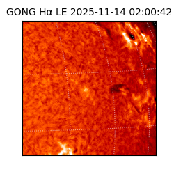 gong - 2025-11-14T02:00:42