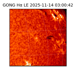 gong - 2025-11-14T03:00:42