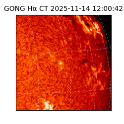 gong - 2025-11-14T12:00:42