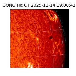 gong - 2025-11-14T19:00:42