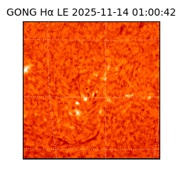 gong - 2025-11-14T01:00:42