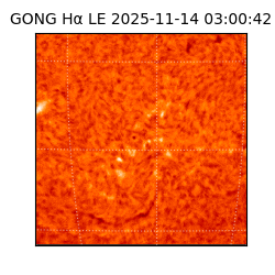 gong - 2025-11-14T03:00:42