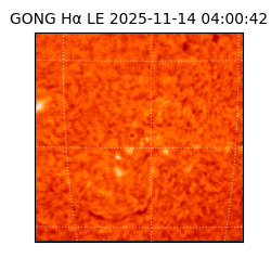 gong - 2025-11-14T04:00:42