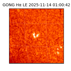 gong - 2025-11-14T01:00:42