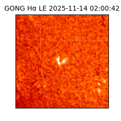 gong - 2025-11-14T02:00:42