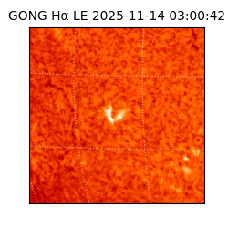 gong - 2025-11-14T03:00:42