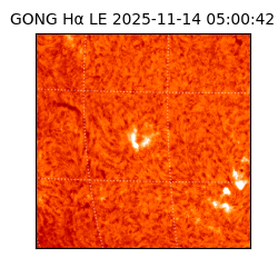 gong - 2025-11-14T05:00:42