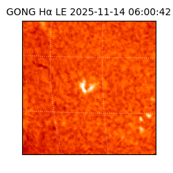 gong - 2025-11-14T06:00:42