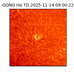 gong - 2025-11-14T09:00:22