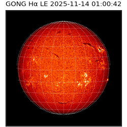 gong - 2025-11-14T01:00:42