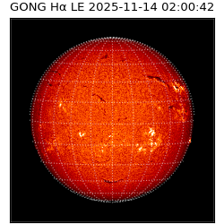 gong - 2025-11-14T02:00:42