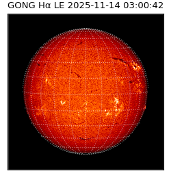 gong - 2025-11-14T03:00:42
