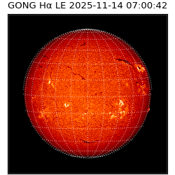 gong - 2025-11-14T07:00:42