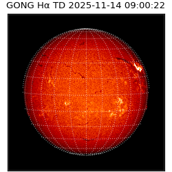 gong - 2025-11-14T09:00:22
