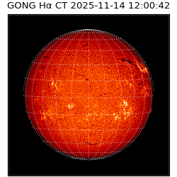 gong - 2025-11-14T12:00:42