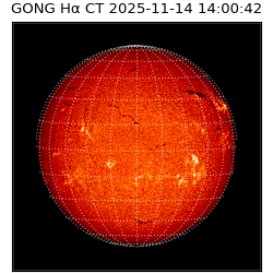 gong - 2025-11-14T14:00:42