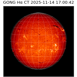 gong - 2025-11-14T17:00:42