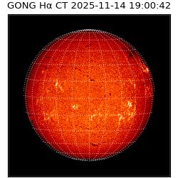 gong - 2025-11-14T19:00:42
