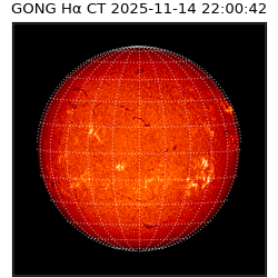 gong - 2025-11-14T22:00:42