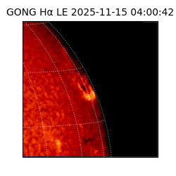 gong - 2025-11-15T04:00:42