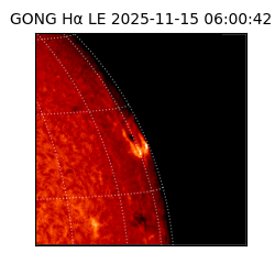 gong - 2025-11-15T06:00:42