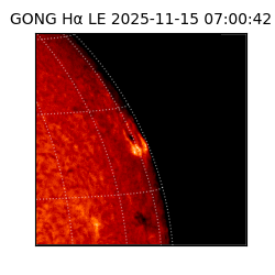gong - 2025-11-15T07:00:42