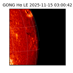 gong - 2025-11-15T03:00:42