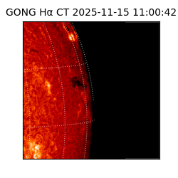 gong - 2025-11-15T11:00:42