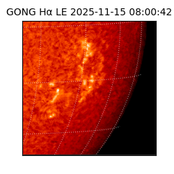 gong - 2025-11-15T08:00:42