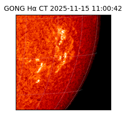 gong - 2025-11-15T11:00:42