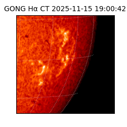 gong - 2025-11-15T19:00:42
