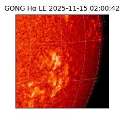 gong - 2025-11-15T02:00:42