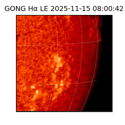 gong - 2025-11-15T08:00:42