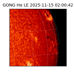 gong - 2025-11-15T02:00:42