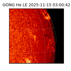 gong - 2025-11-15T03:00:42
