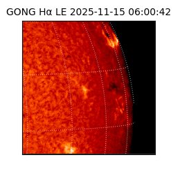 gong - 2025-11-15T06:00:42