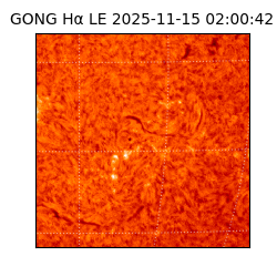gong - 2025-11-15T02:00:42