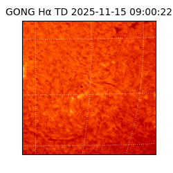 gong - 2025-11-15T09:00:22